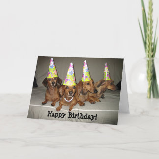 Tarjeta Dachshund del feliz cumpleaños