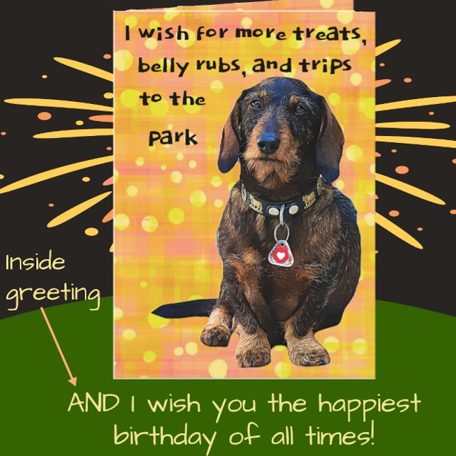 Tarjeta Dachshund Fun Bright Happy Birthday (Subido por el creador)