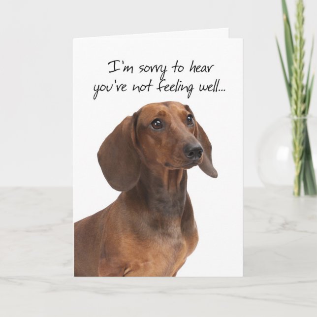 Tarjeta Dachshund Get Well Card (Anverso)