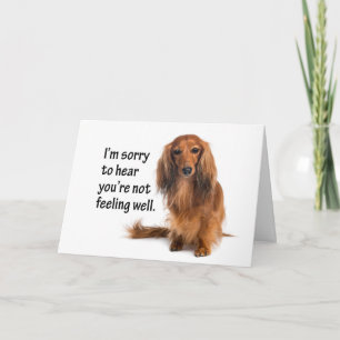 Tarjeta Dachshund Get Well Card