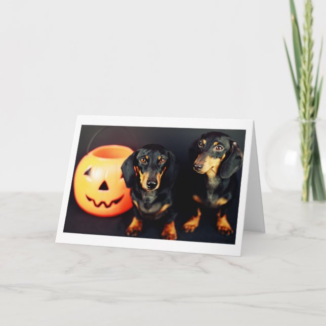Tarjeta Dachshund Halloween (Anverso)