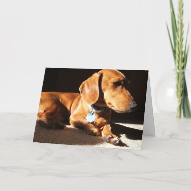 Tarjeta Dachshund Mascota Dog (Anverso)