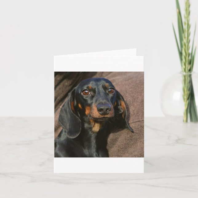 Tarjeta dachshund negro y fuego (Anverso)