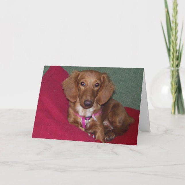 Tarjeta Dachshund, Ponte Bien Pronto (Anverso)
