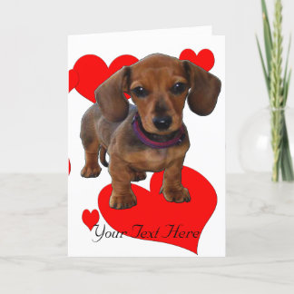 Tarjeta DACHSHUND Puppy con corazones