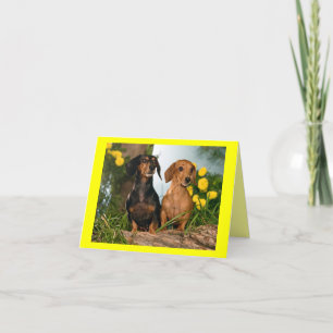 Tarjeta Dachshund Puppy Dog Blank Note Card