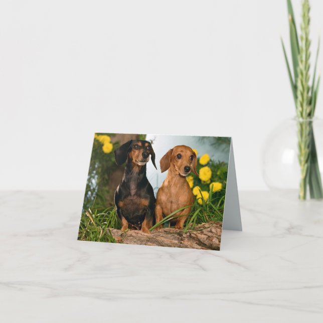 Tarjeta Dachshund Puppy Dog Blank Note Card (Anverso)