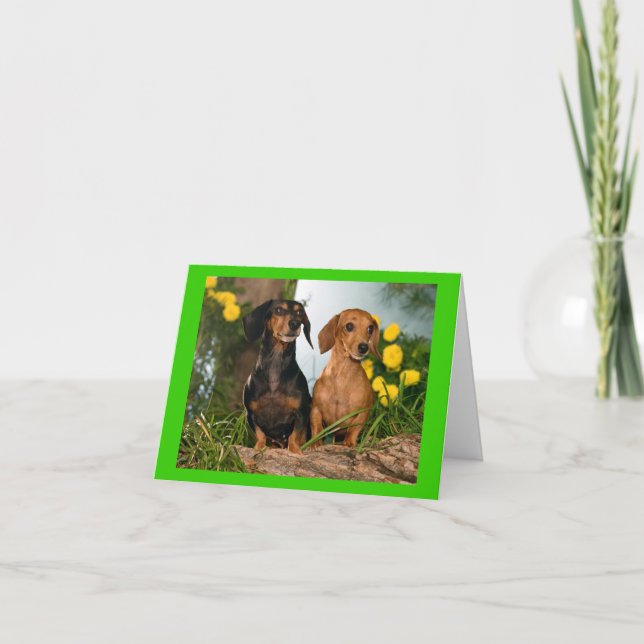 Tarjeta Dachshund Puppy Dog Blank Note Card (Anverso)
