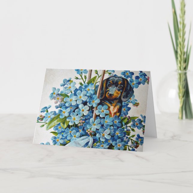 Tarjeta Dachshund y Forget-Me-Nots (Anverso)