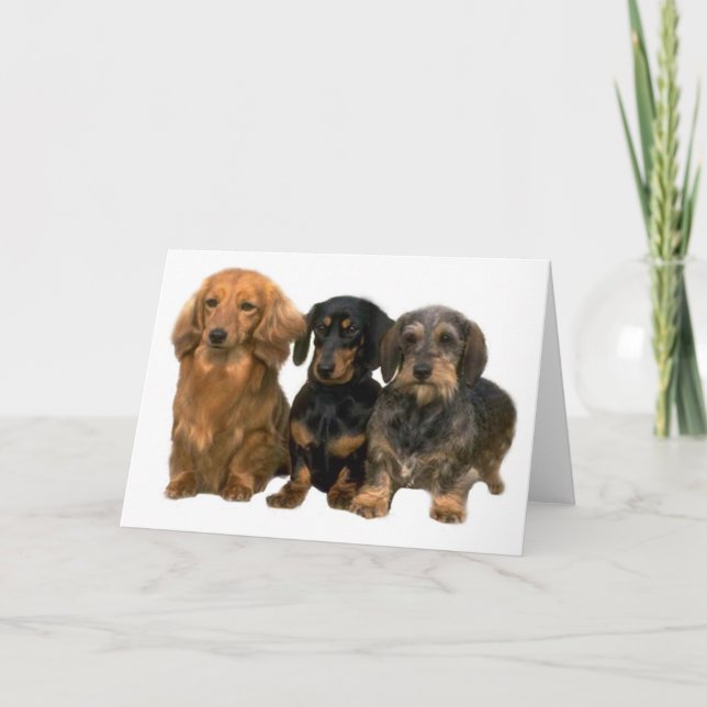 Tarjeta Dachshunds (Anverso)