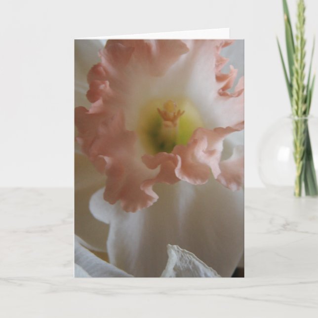 Tarjeta Daffodil (Anverso)