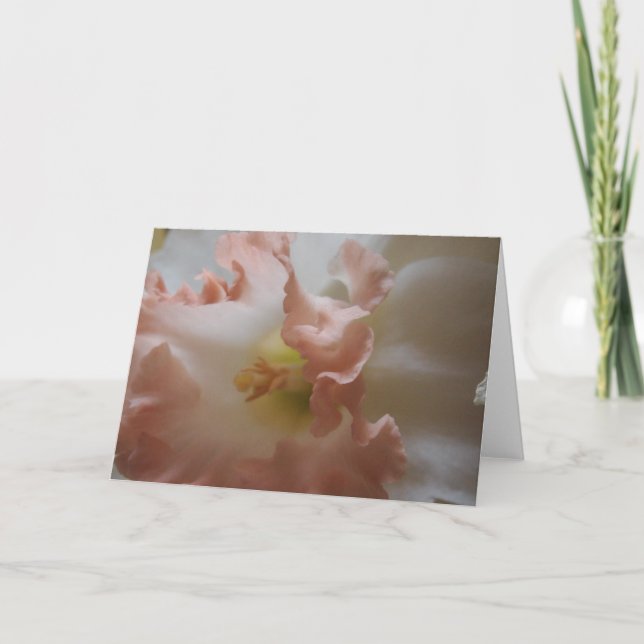 Tarjeta Daffodil (Anverso)