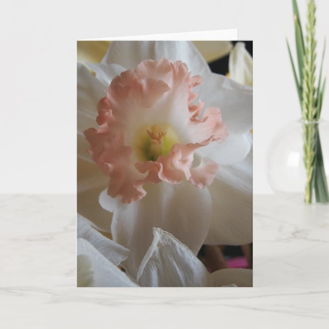 Tarjeta Daffodil (Anverso)