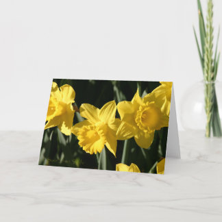 Tarjeta Daffodil 023