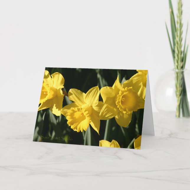 Tarjeta Daffodil 023 (Anverso)