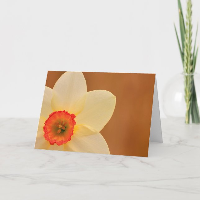 Tarjeta Daffodil Apoyo al Cáncer de Quimioterapia (Anverso)