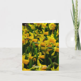 Tarjeta Daffodil Family Gracias
