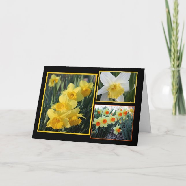 Tarjeta Daffodil Trio (Anverso)