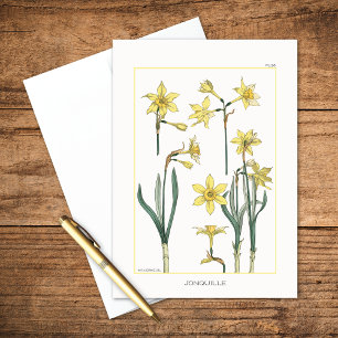 Tarjeta Daffodils Botánico de Maurice Verneuil Blank