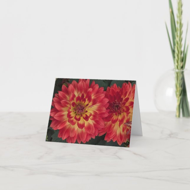 Tarjeta Dahlia (Anverso)
