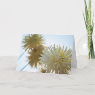 Tarjeta Dahlia Blanca Feliz Janucá