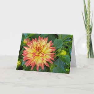 Tarjeta Dahlia Card