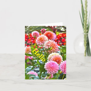 TARJETA DAHLIA GARDEN/ PINK AND PEACH DAHLIAS/ "HOLA"
