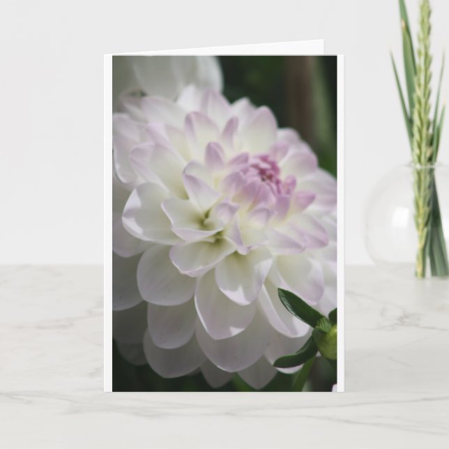 Tarjeta Dahlia Note (Anverso)