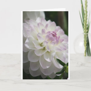 Tarjeta Dahlia Note
