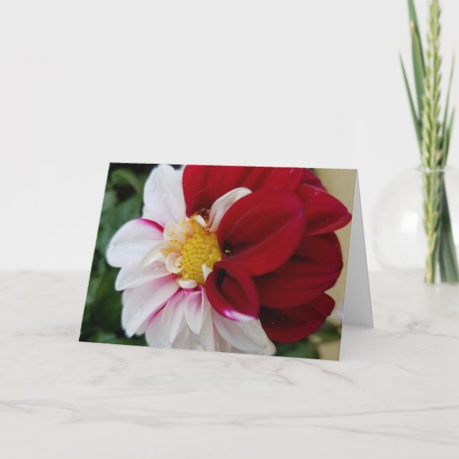 Tarjeta Dahlia Notecards (Anverso)