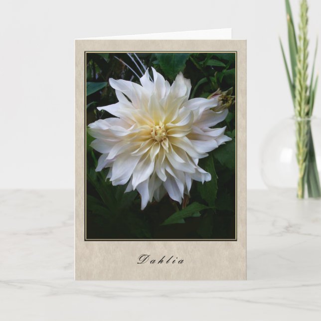 Tarjeta Dahlia - Serie Floral (Anverso)