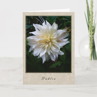 Tarjeta Dahlia - Serie Floral