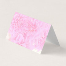 Dahlias En Rosa Suave