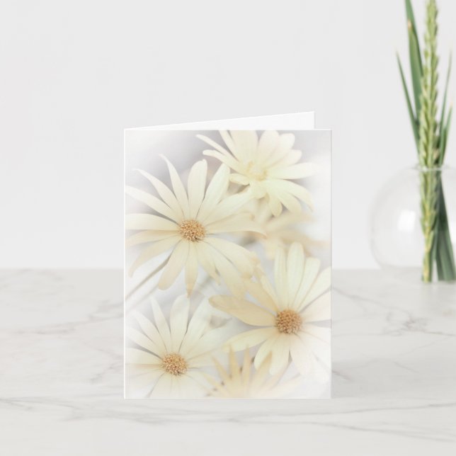 Tarjeta 'Daises Soñosos 2' (Anverso)