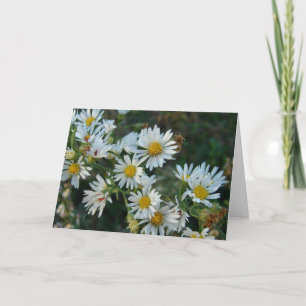 Tarjeta Daisies