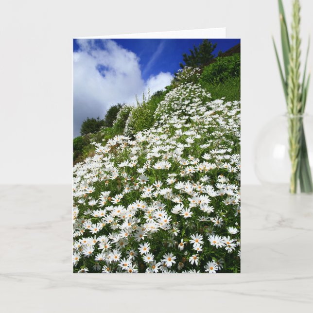 Tarjeta Daisies (Anverso)