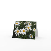 Tarjeta Daisies