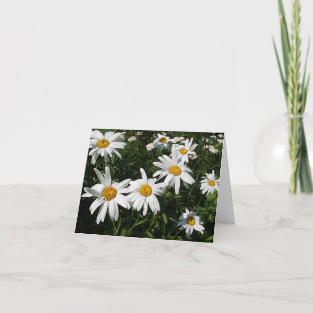 Tarjeta Daisies (Anverso)