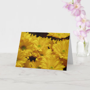 Tarjeta Daisies amarillos