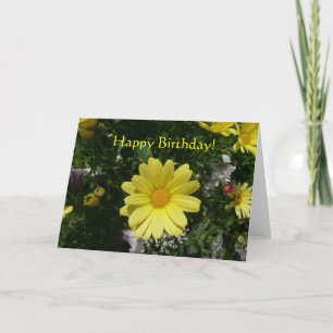 Tarjeta Daisies amarillos