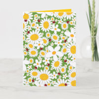 Daisies blancos de verano y ladrones rojos caprich