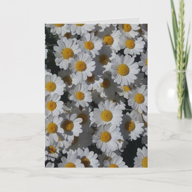 Tarjeta Daisies Blancos Saludos Doblados (Anverso)