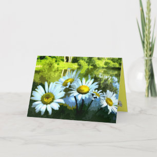 Tarjeta Daisies en el cumpleaños de Pond