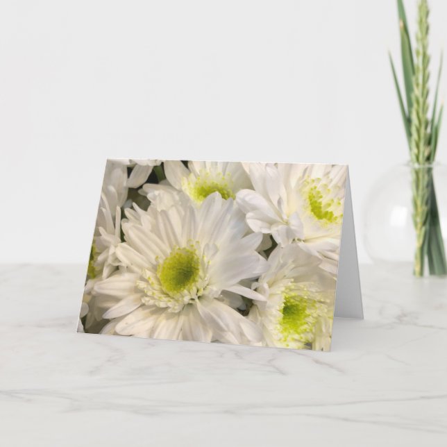 Tarjeta Daisies en la primavera (Anverso)