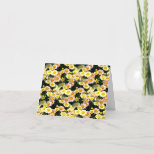 Tarjeta Daisies Galore......