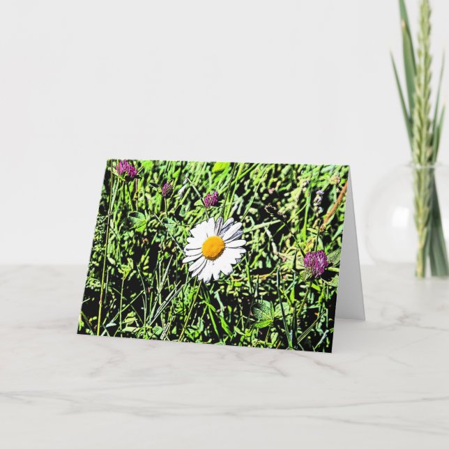 Tarjeta Daisy (Anverso)