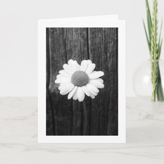 Tarjeta Daisy and Love (Anverso)