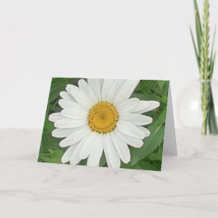 Tarjeta Daisy blanco