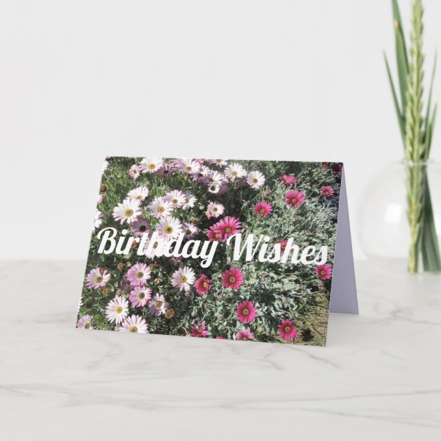 Tarjeta Daisy Daisies Flores Rojas Rosa Cumpleaños Floral (Anverso)