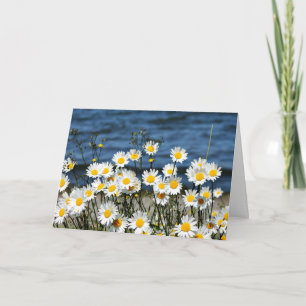 Tarjeta Daisy-Daisy